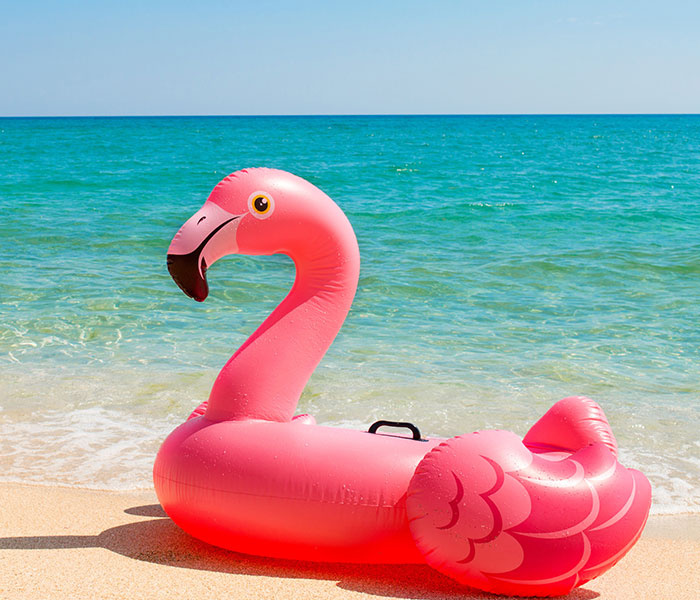 Flamingo Float on the beach
