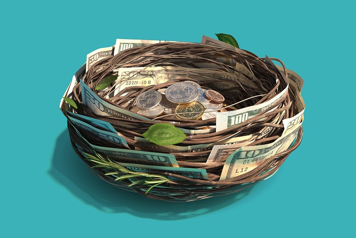 Image of birds nest with money in it on teal background